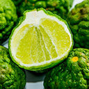البرغموت