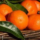 Mandarine